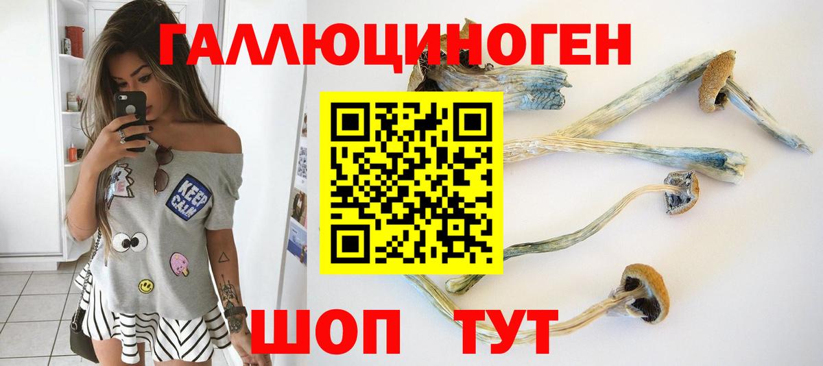 Сарапул  Галлюциногенные грибы Psilocybine cubensis  Вход с VPN 