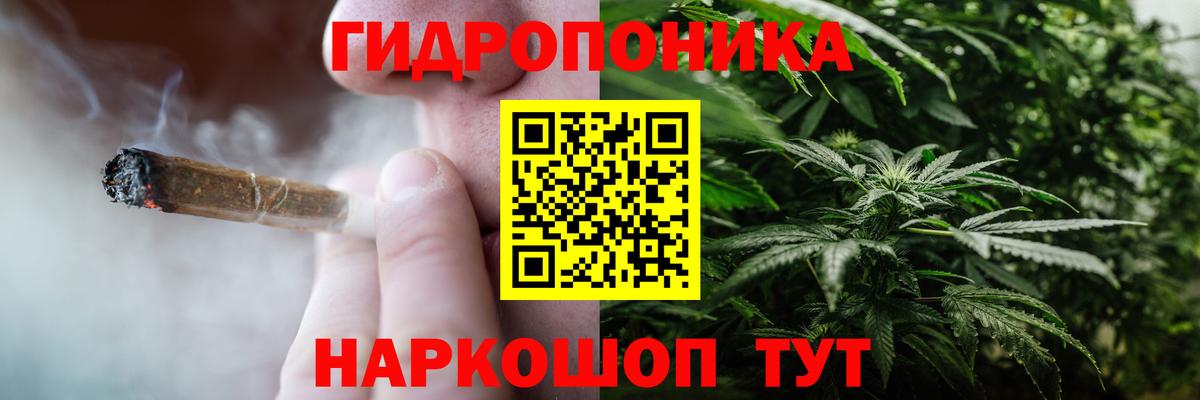 Бошки марихуана план Сарапул